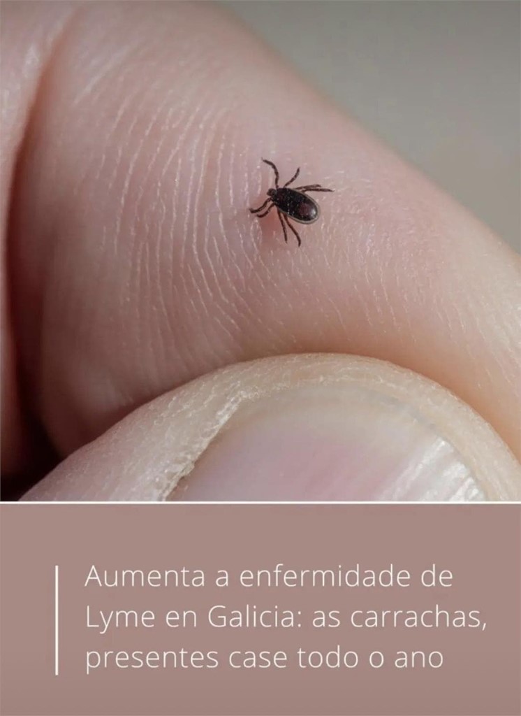 Babesiosis canina y otras transmitidas por garrapatas