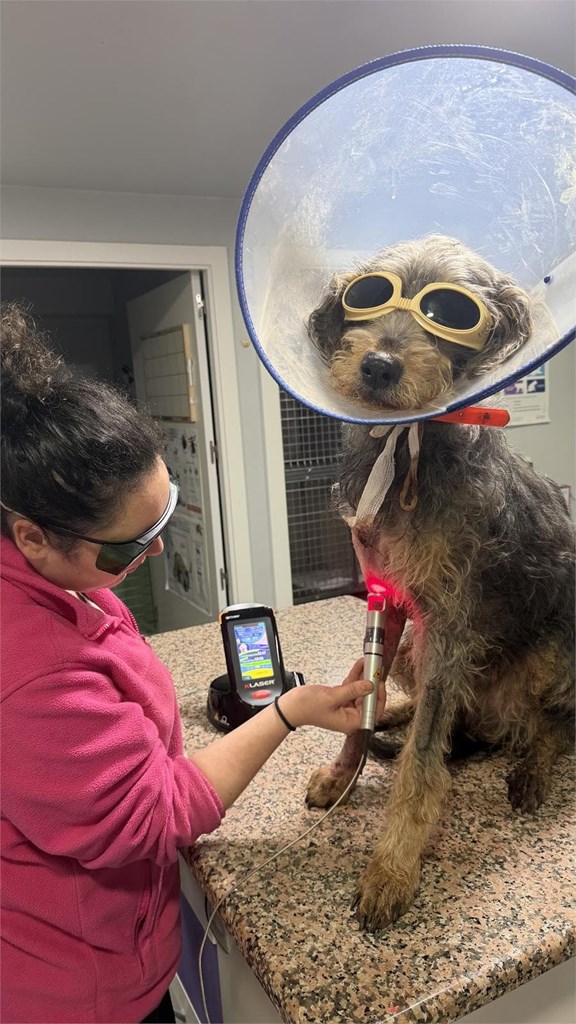 Rehabilitación con K-laser